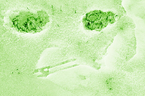 Beak Mouthed Footprint Face Among Snow (Green Shade)