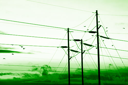 Bird Flock Flying Behind Powerline Sunset (Green Shade Photo)