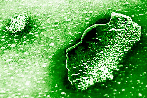 Bubble Head Face Peeking Through Ice (Green Shade Photo)