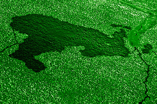 Bunny Rabbit Pavement Puddle Figure Formation (Green Shade)