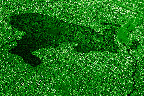 Bunny Rabbit Puddle Figure Formation (Green Shade Photo)