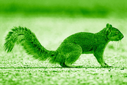 Closed Eyed Squirrel Meditating (Green Shade Photo)