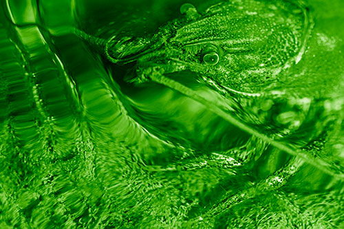 Crayfish Swims Against Rippling Water (Green Shade)
