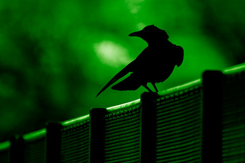 Crow Silhouette Atop Guardrail (Green Shade Photo)