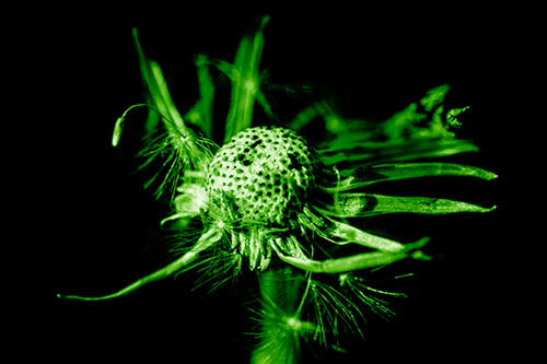 Decaying Seed Toothed Dandelion Creature (Green Shade)