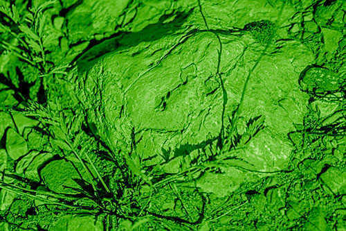 Demonic Leaf Mouthed Rock Face Snarling Among Dirt (Green Shade)