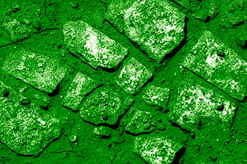 Dirt Covered Stepping Stones (Green Shade Photo)