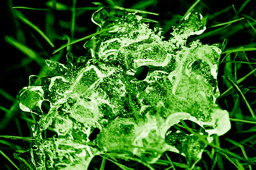 Dismayed Ice Dragon Face Frozen Among Piercing Grass Blades (Green Shade)