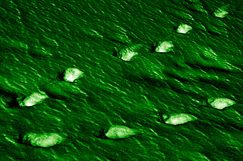 Distancing Snow Footprints (Green Shade)
