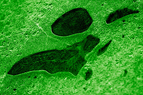Distorted Skull Face Within Frozen Ice (Green Shade)