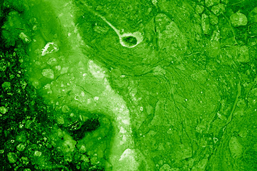 Distressed Oil Face Swirling Among Rocky Shore (Green Shade)
