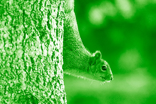 Downward Squirrel Yoga Tree Trunk (Green Shade Photo)