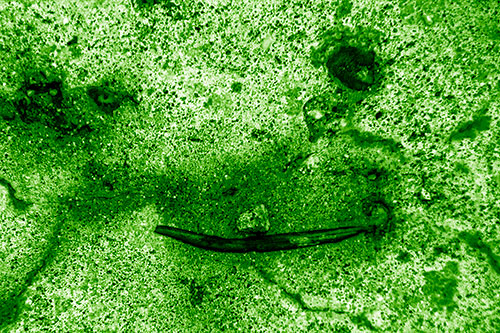 Evil Eyed Concrete Face Evaporating (Green Shade Photo)