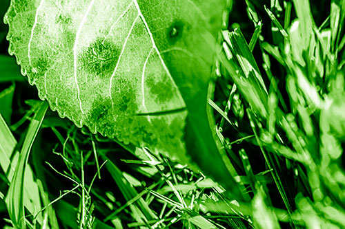 Eye Winking Shadow Smirking Leaf Face (Green Shade)