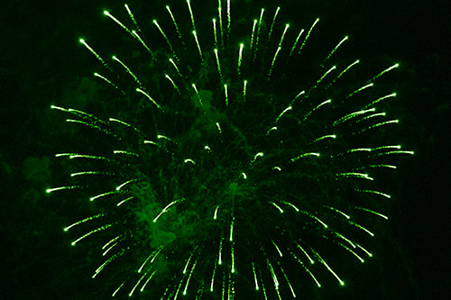 Firework Star Trails Vaporize Among Night Sky (Green Shade Photo)