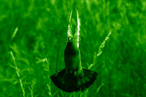 Flying Pigeon Carries Stick In Mouth (Green Shade)