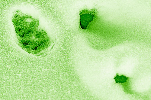 Footprint Eye Snow Face Atop Rock Surface (Green Shade)