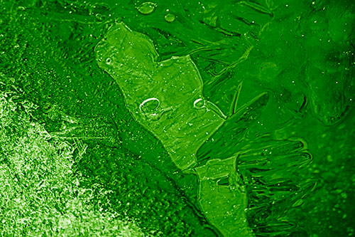 Frozen Bubble Eyed Ice Face Figure Along River Shoreline (Green Shade Photo)