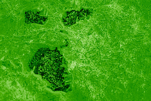 Frozen Ice Screaming Pebble Soil Face (Green Shade)