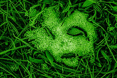Frozen Leaf Eyed Snow Face Among Frosty Grass (Green Shade)
