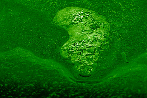 Frozen Water Bubble Mass Formation Along River (Green Shade Photo)