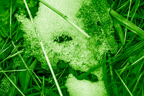 Half Melted Ice Face Smirking Among Reed Grass (Green Shade Photo)