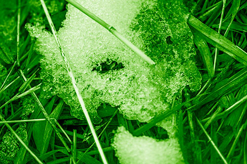 Half Melted Ice Face Smirking Among Reed Grass (Green Shade)