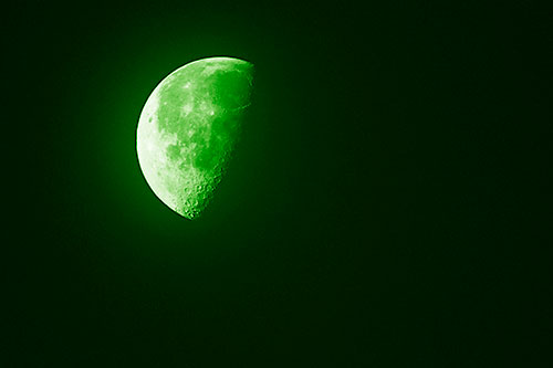 Half Moon Shining Bright (Green Shade Photo)