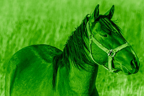 Horse Enjoying Grassy Dinner Meal (Green Shade Photo)