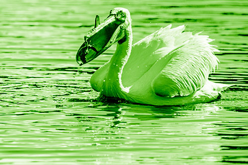 Hungry Pelican Captures Salamander For Breakfast (Green Shade)