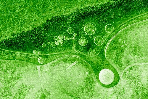 Ice Bubbles Among Frozen Soil Crevice (Green Shade)