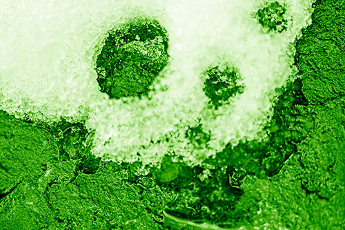 Ice Skull Snow Face Melting Atop Rock (Green Shade Photo)