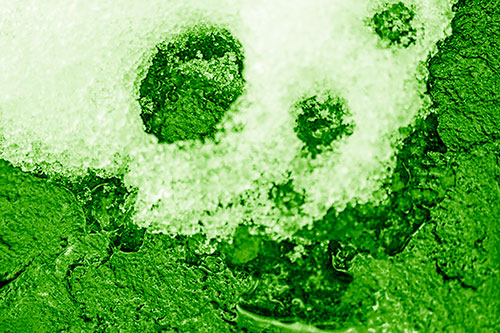 Ice Skull Snow Face Melting Atop Rock (Green Shade)
