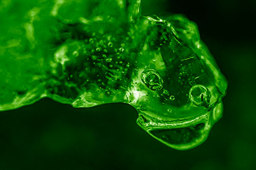 Joyful Frozen Bubble Eyed River Ice Face Creature (Green Shade Photo)