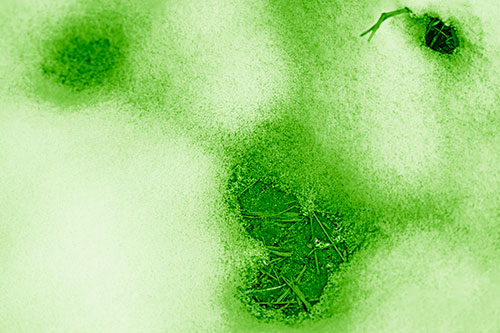 Joyful Soil Face Appears Beneath Melting Snow (Green Shade Photo)