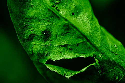 Lacerated Mouth Leaf Face Smirking Among Decay (Green Shade)