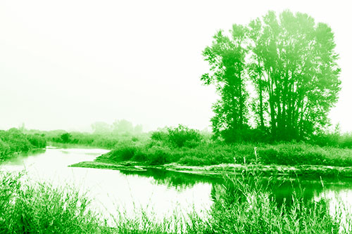 Large Foggy Trees At Edge Of River Bend (Green Shade Photo)