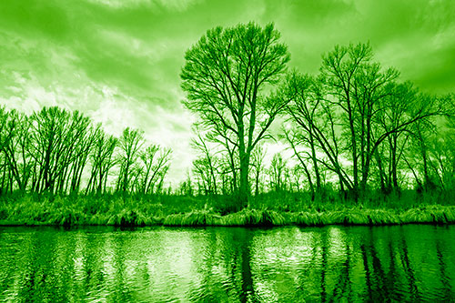 Leafless Trees Cast Reflections Along River Water (Green Shade Photo)