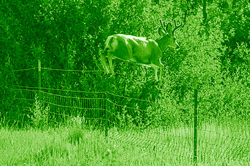Midair Soaring Mule Deer Flying Over Fence (Green Shade)