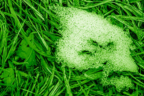 Miserable Slanted Grass Eyed Snow Face (Green Shade)