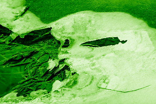 Mouth Melting River Ice Face Among Floating Branches (Green Shade)