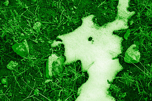Peering Humanoid Snow Face Creature Among Rocks (Green Shade)