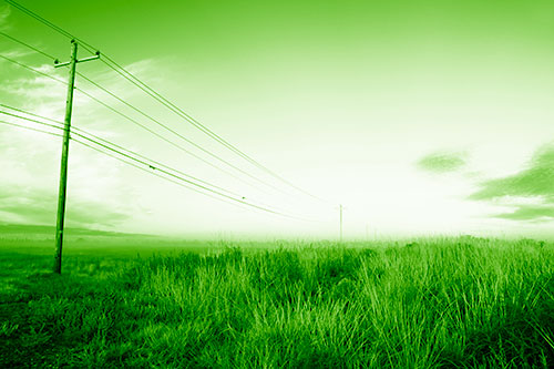 Powerlines Descend Among Foggy Prairie (Green Shade Photo)
