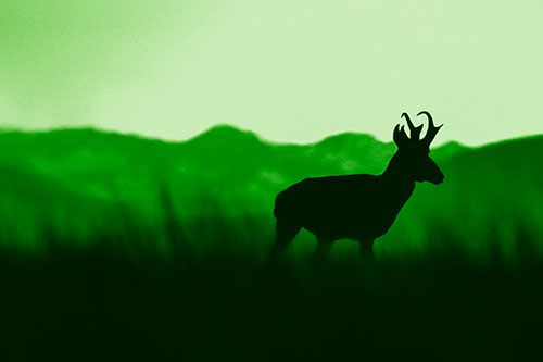 Pronghorn Silhouette Across Mountain Range (Green Shade)