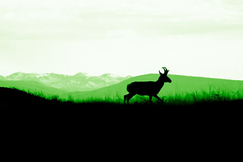 Pronghorn Silhouette On The Prowl (Green Shade)
