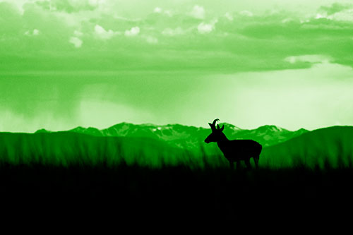Pronghorn Silhouette Overtakes Stormy Mountain Range (Green Shade)