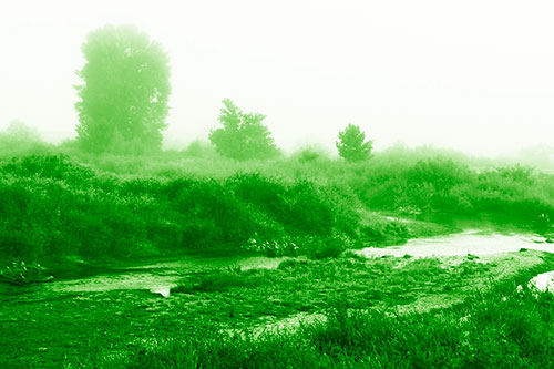 River Flowing Along Foggy Vegetation (Green Shade Photo)