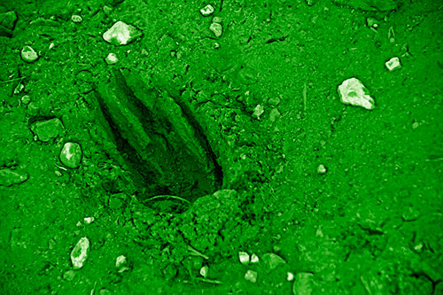 Rocks Surround Deep Mud Paw Footprint (Green Shade Photo)