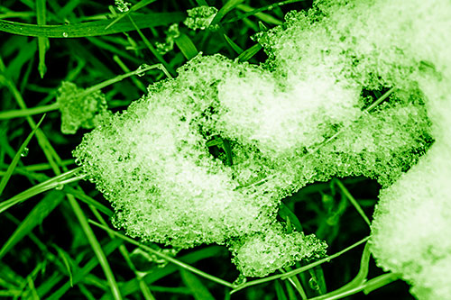 Sad Melting Grass Tangled Snow Face (Green Shade)