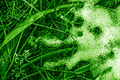 Sad Mouth Melting Ice Face Creature Among Soggy Grass (Green Shade Photo)